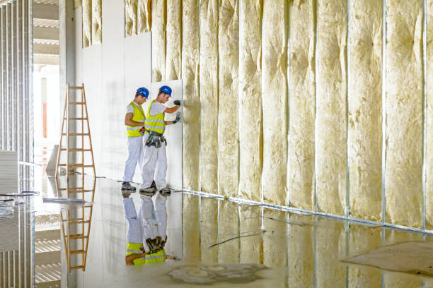 Best Insulation Installation Services in Visalia, CA